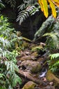 Small tropical waterfall Royalty Free Stock Photo