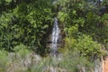 Small tropical waterfall. Water and green plants Royalty Free Stock Photo