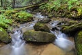 A small trout stream in the Appalachian Mountains. Royalty Free Stock Photo