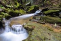 A small trout stream in the Appalachian Mountains.