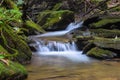 A small trout stream in the Appalachian Mountains. Royalty Free Stock Photo