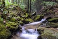 A small trout stream in the Appalachian Mountains. Royalty Free Stock Photo