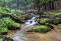 A small trout stream in the Appalachian Mountains. Royalty Free Stock Photo