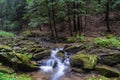 A small trout stream in the Appalachian Mountains. Royalty Free Stock Photo