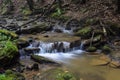 A small trout stream in the Appalachian Mountains. Royalty Free Stock Photo