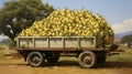 a small truck carrying a bounty of ripe, golden pears, neatly arranged for their journey