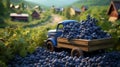 a small truck loaded with plump, sweet blueberries, arranged in crates and ready for the road.