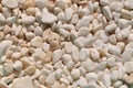 Small tumbled white quatz pebbles Royalty Free Stock Photo
