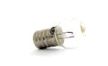 Small tungsten light bulb isolated on white background Royalty Free Stock Photo