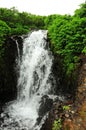 A small, turbulent waterfall flows through a thicket of bushes in a stone channel