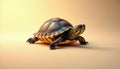 Small turtle with black, yellow patterned shell, striped head slowly walks forward on neutral light beige studio background. Cute Royalty Free Stock Photo