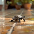 Small turtle traverses tile floor, shell glinting in ambient light