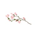 Small twig with beautiful pink flowers and green leaves. Fresh branch of magnolia tree. Detailed flat vector icon