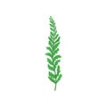 Small twig of fern. Tropical plant with bright green leaves. Nature and botany theme. Flat vector icon