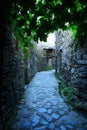 Small typical mountain village of schist