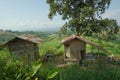 Small ugly huts with big tree on the mountain Royalty Free Stock Photo