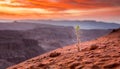 Small unknown seed sprouting on the edge of a mountain of mars, red sky, sunset and dawn and deep dead valley in the background