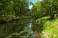 A small, unregulated river. Royalty Free Stock Photo