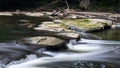 Small upper water falls on Tinker creek in Cuyahoga valley national park Royalty Free Stock Photo