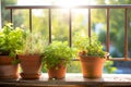 Small urban balcony garden with potted plants. Generative AI Royalty Free Stock Photo