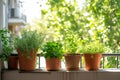 Small urban balcony garden with potted plants. Generative AI Royalty Free Stock Photo