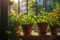 Small urban balcony garden with potted plants. Generative AI Royalty Free Stock Photo