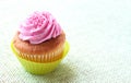 Small vanilla cupcake with strawberry icing Royalty Free Stock Photo