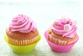 Small vanilla cupcakes Royalty Free Stock Photo