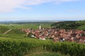 A small village in Alsace surrounded by vineyards