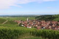 A small village in Alsace surrounded by vineyards