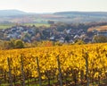 Small village behind a vineyard Royalty Free Stock Photo