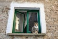 The small village of Capaccio, Italy. Royalty Free Stock Photo