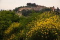 Small village of Chiusure on top of the hill surrounded by Karst cliffs landscape with yellow flowers. Royalty Free Stock Photo