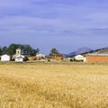 Small village with farm and church Royalty Free Stock Photo