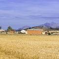 Small village with farm and church Royalty Free Stock Photo