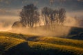 Small village house surrounded by fog on an autumn morning with a forest in the background Royalty Free Stock Photo