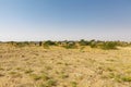 Small village with houses and huts in the Thar Desert near Jaisalmer, Rajasthan, India Royalty Free Stock Photo