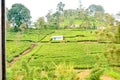 Small village housing tea plantation workers in nuwara eliya district, central province, sri Lanka, south asia Royalty Free Stock Photo