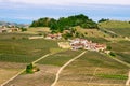 Landscape Langhe hills vineyards. Viticulture near Barolo, Piedmont, Italy, Unesco heritage. Barolo, Nebbiolo, Royalty Free Stock Photo