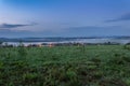 Small village in morning fog, Czech landscape Royalty Free Stock Photo