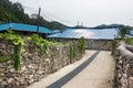 The small village in South Korea Royalty Free Stock Photo