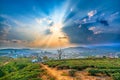 Small village in a tea hill valley on sunset sky in Da Lat, Vietnam Royalty Free Stock Photo