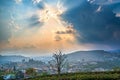 Small village in a tea hill valley on sunset sky in Da Lat, Vietnam Royalty Free Stock Photo