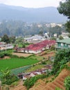 Small village with vegetable fields in Kandy, Sri Lanka