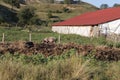 The small village of Viscri in Romania Royalty Free Stock Photo