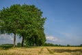 the small village of Weseke in germany Royalty Free Stock Photo