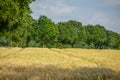 the small village of Weseke in germany Royalty Free Stock Photo