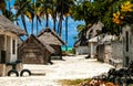 Small Village in Zanzibar