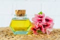 Small vintage bottle with essential geranium oil (pelargonia massage oil, tincture, infusion, extract). Royalty Free Stock Photo