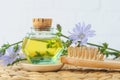 Small vintage bottle with masage oil (tincture, extract, infusion), wooden hairbrush and chicory flowers. Royalty Free Stock Photo